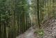 Additional image 15 of Coed Pen Y Bont (almost 11 and a half acres), Tal-y-Llyn, Tywyn, Gwynedd LL36