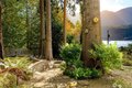 Additional image 16 of 17 Thompson Point Rd, Port Angeles, WA, 98363
