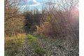 Additional image 14 of Benson, Victor, NY, 14564