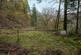 Additional image 21 of Coed Pen Y Bont (almost 11 and a half acres), Tal-y-Llyn, Tywyn, Gwynedd LL36