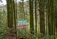 Additional image 18 of Coed Pen Y Bont (almost 11 and a half acres), Tal-y-Llyn, Tywyn, Gwynedd LL36