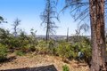Additional image 43 of 3880 Spring Mountain Rd, Saint Helena, CA, 94574