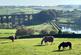 Additional image 36 of Doll Lane, Cullingworth, Bradford, BD13