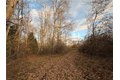 Additional image 21 of Benson, Victor, NY, 14564