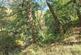 Additional image 3 of Birks Wood , Wainstalls  HX2