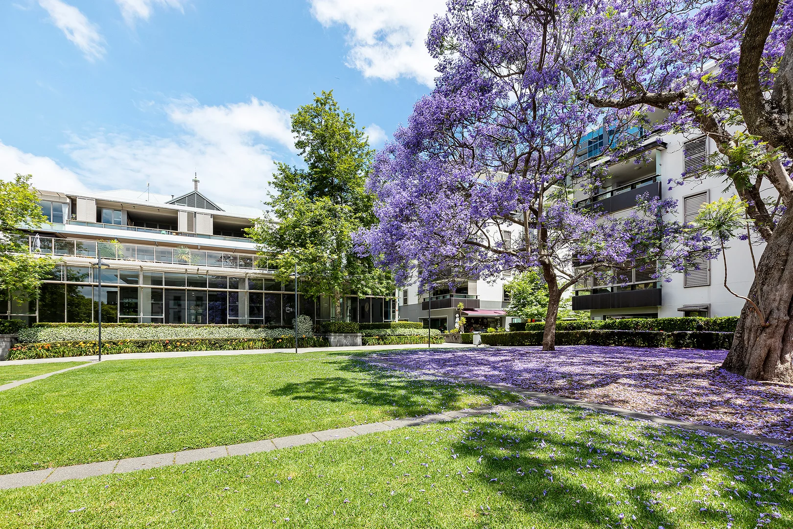 Additional image 9 of 209/7 Sterling Circuit, Camperdown NSW 2050