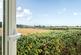 Additional image 8 of Brickworth Road, Whiteparish, Salisbury, Wiltshire