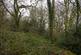 Additional image 8 of Coed Sion Wyn (about 5 and a half acres), Llanfihangel-y-Traethau, Harlech, Gwynedd LL46
