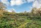 Additional image 14 of Gainsborough Road, Winthorpe