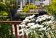 Additional image 22 of Kinloch View, Linlithgow EH49