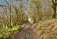 Additional image 40 of Pencader, Carmarthenshire SA39