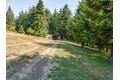 Additional image 36 of 1712 Mount Pleasant Rd, Kelso, WA, 98626
