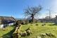 Additional image 26 of Goatfell Cottage, High Corrie, Corrie
