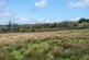 Additional image 35 of Heol Ddu Farm, Cefneithin, Llanelli