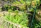 Additional image 21 of Wellington Avenue, Whitehill, Bordon, GU35