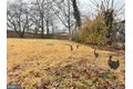 Additional image 56 of 13220 Ronehill Dr, Beltsville, MD, 20705