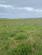 Additional image 7 of Plot 10, Blue Sea View, Shapinsay Island. KW17 2DZ