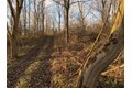 Additional image 4 of Benson, Victor, NY, 14564