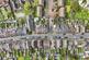 Additional image 22 of Hillhouse Road, Dartford, Kent, DA2