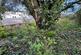 Additional image 6 of Hillsborough Terrace, Ilfracombe EX34