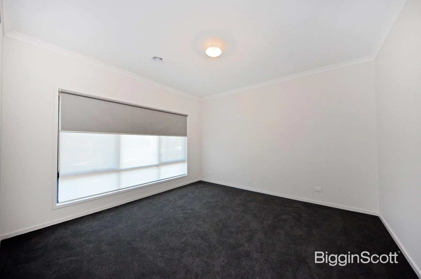 Additional image 5 of 137 View Mount Road, Glen Waverley VIC 3150