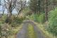 Additional image 34 of Trefenter, Aberystwyth, SY23