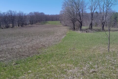 Additional image 8 of 1024 Old Barrie Road, Oro-medonte, ON, L0L 2L0