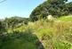 Additional image 14 of Craig Yr Henffordd, Penegoes, Machynlleth, Powys, SY20