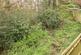 Additional image 23 of The Crofts, Hemel Hempstead