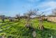 Additional image 23 of Heol Yr Ysgol, Cefneithin, Llanelli