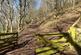 Additional image 27 of 3 Hawthorn Steading, Langlee Mains, Galashiels, TD1 2NZ