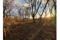 Additional image 6 of Benson, Victor, NY, 14564