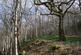 Additional image 10 of Blackberry Lane, Bath BA15