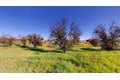 Additional image 23 of 16363 Paula Rd, Madera, CA, 93636
