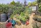 Additional image 18 of High Ridge Crescent, New Milton, Hampshire, BH25