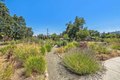 Additional image 46 of 1929 Mora Ave, Calistoga, CA, 94515