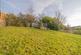 Additional image 45 of Bryncliffe, NP19