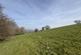 Additional image 32 of Pontrhydfendigaid, Ystrad Meurig, SY25