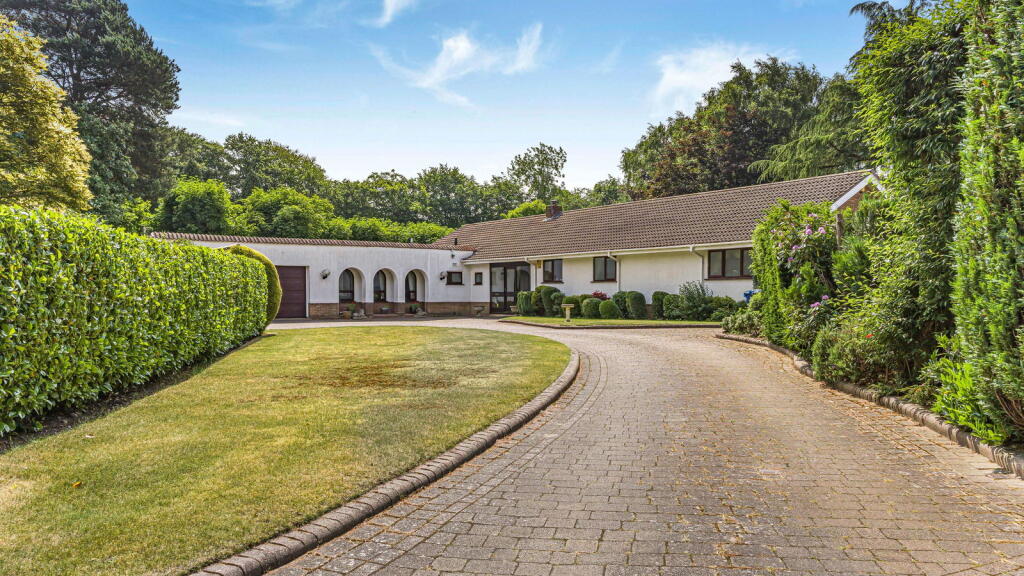Roman Lane, Little Aston Park