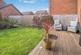 Additional image 22 of Middle Reen Place, Glan Llyn, Newport