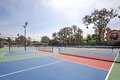 Additional image 49 of 1819 Milbank Rd, Encinitas, CA, 92024