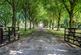 Additional image 2 of Chelmsford Road, Margaret Roding, Dunmow, Essex, CM6
