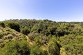 Additional image 43 of 10353 Royal Oak Rd, Oakland, CA, 94605