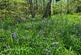 Additional image 50 of Cookbury Court, Cookbury, Holsworthy, Devon, EX22