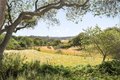 Additional image 29 of 1595 Chesapeake Pl, Arroyo Grande, CA, 93420