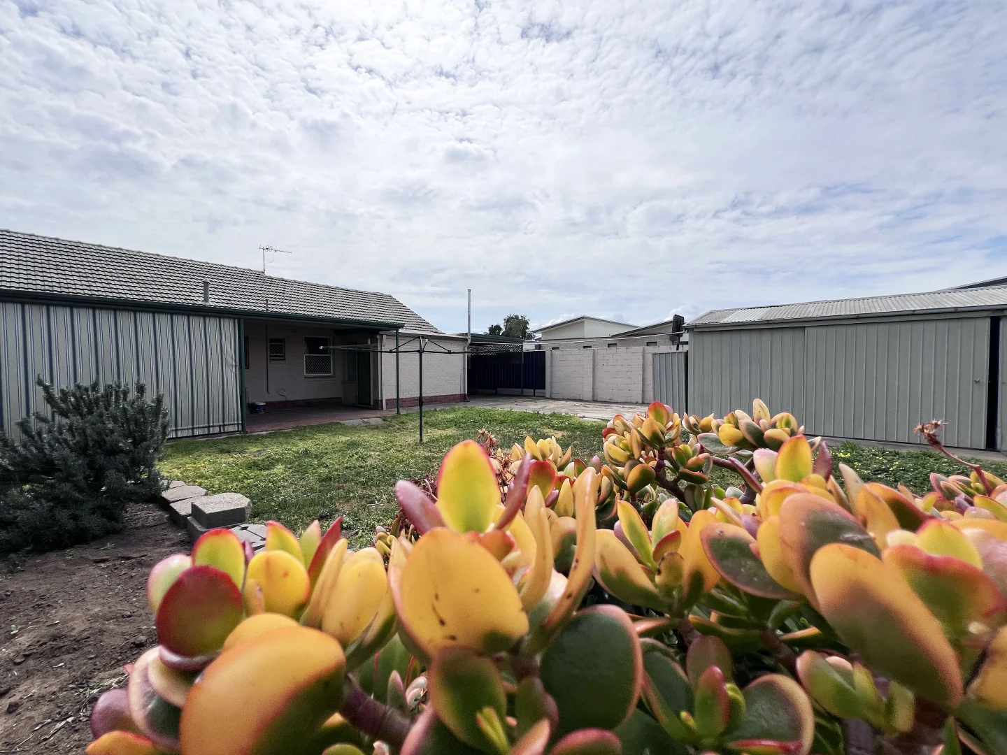 Additional image 7 of 29 Kidman Avenue, Kidman Park SA 5025
