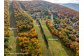 Additional image 16 of 209 Club Rd, Windham, NY, 12496