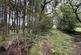 Additional image 12 of Brandis Corner, Holsworthy