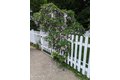 Additional image 43 of 135 Allengate Ave, Pittsfield, MA, 01201