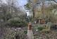 Additional image 11 of Hamstead Road, Cranmore, Yarmouth